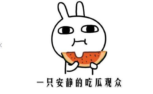 有网红吃瓜网站吗,揭秘娱乐圈幕后真相