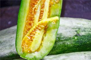 网红瓜都是谁吃的,揭秘网红瓜背后的神秘食客